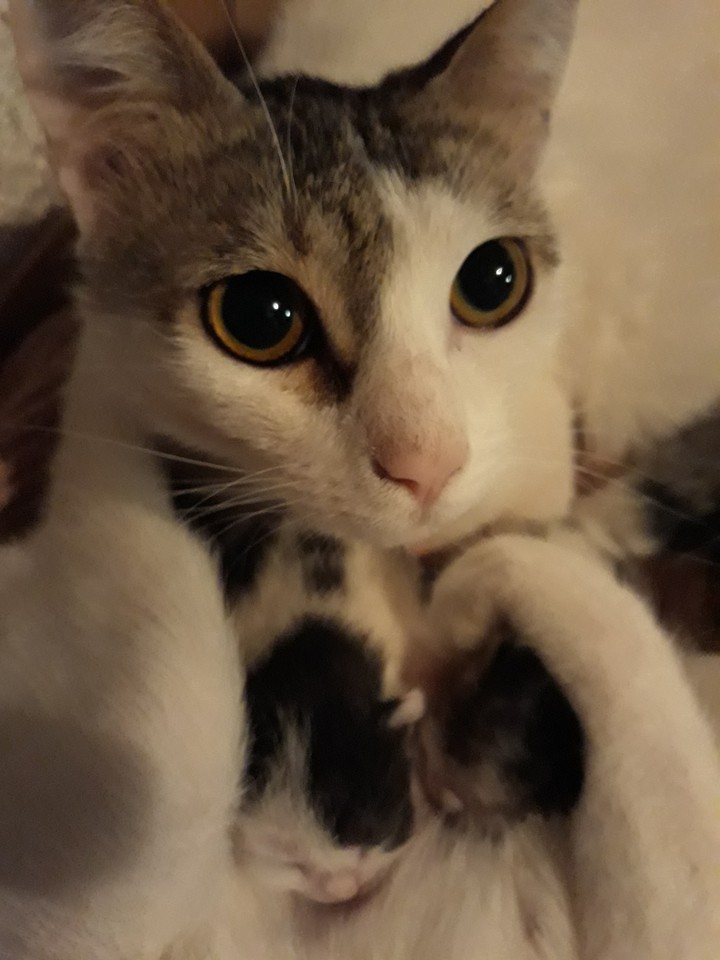 nascita