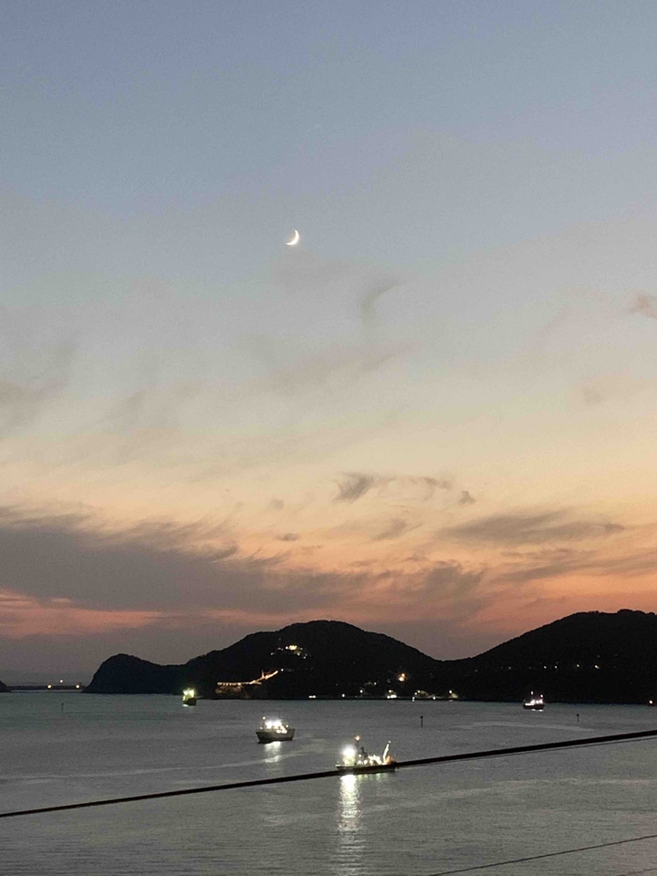 moonlight