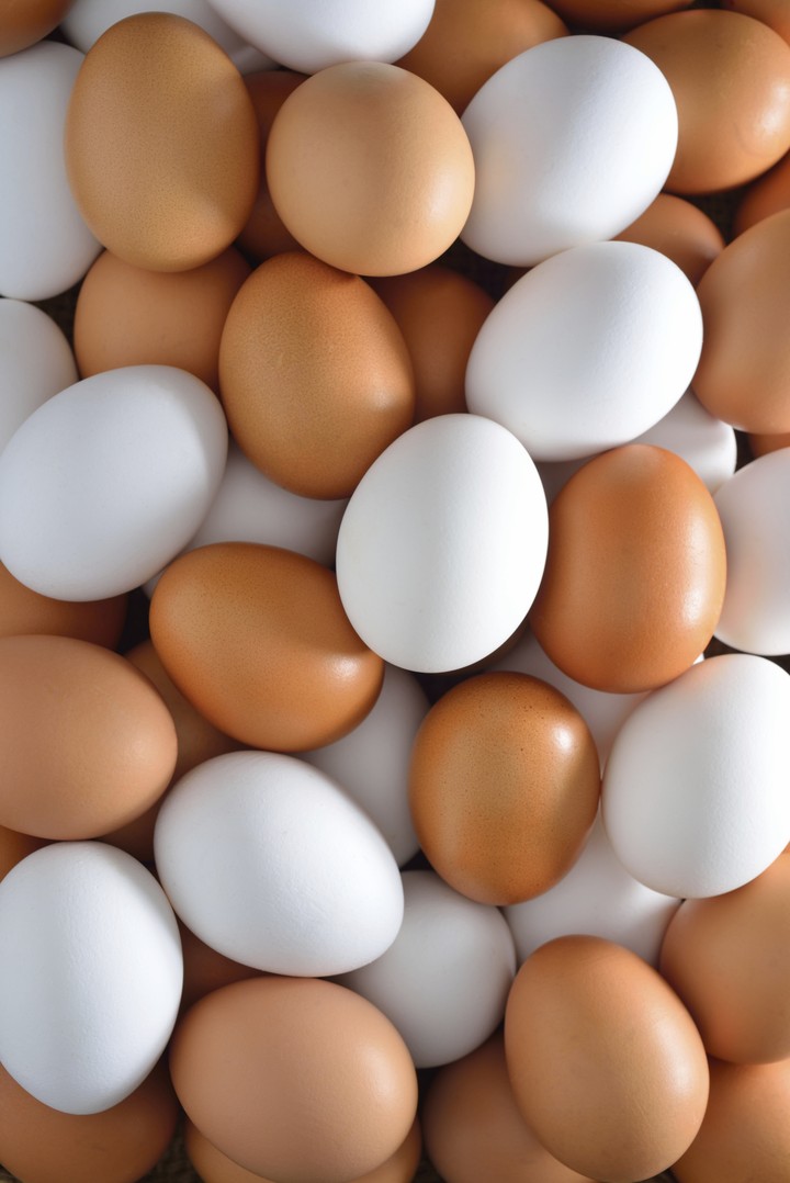 EGGS