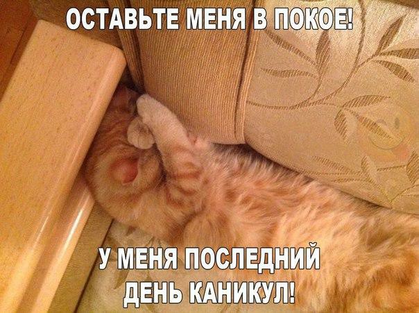 ☺