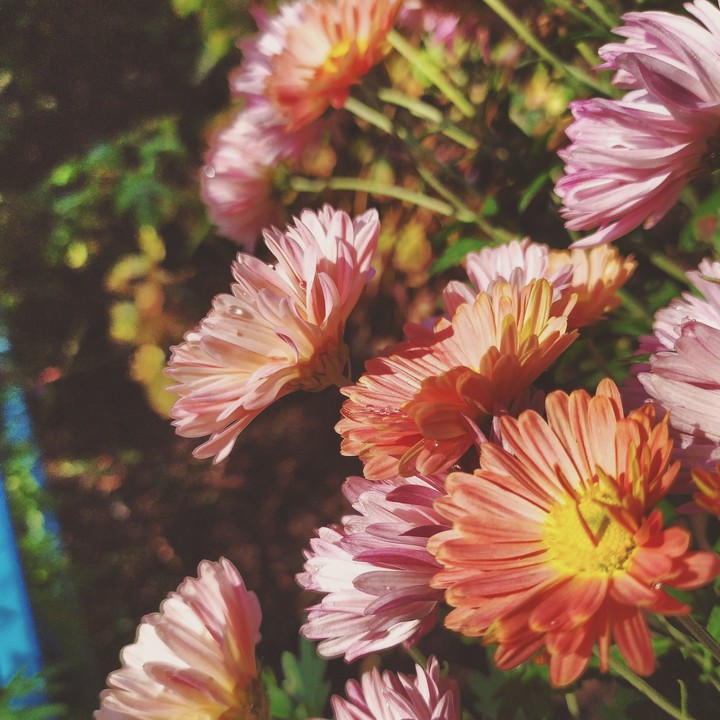 sunny autumn