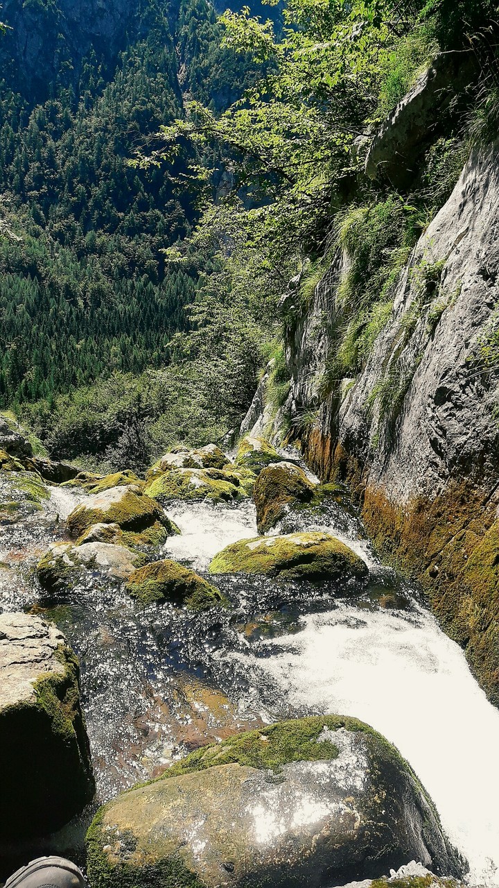 rocks in the river
