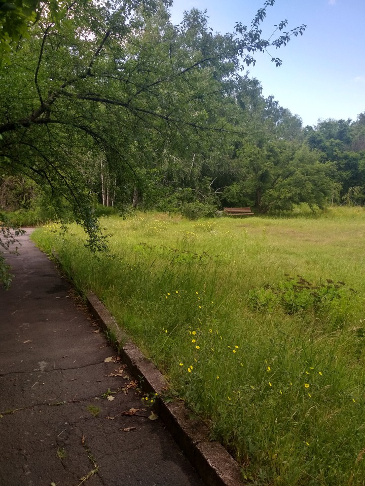 Парк