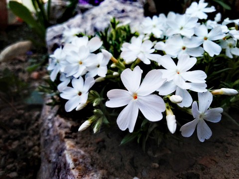 Beautiful