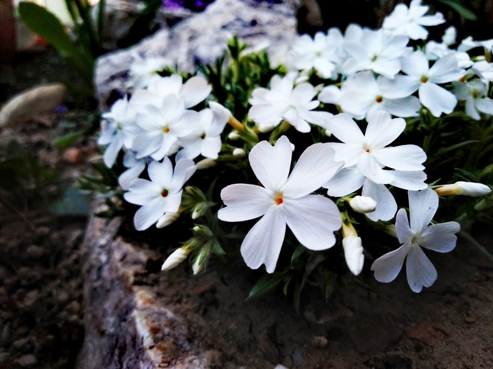 Beautiful