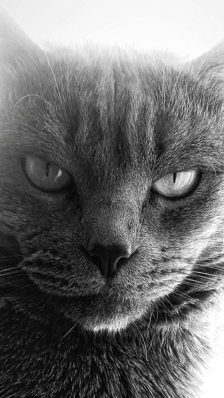 Oh this eyes... 