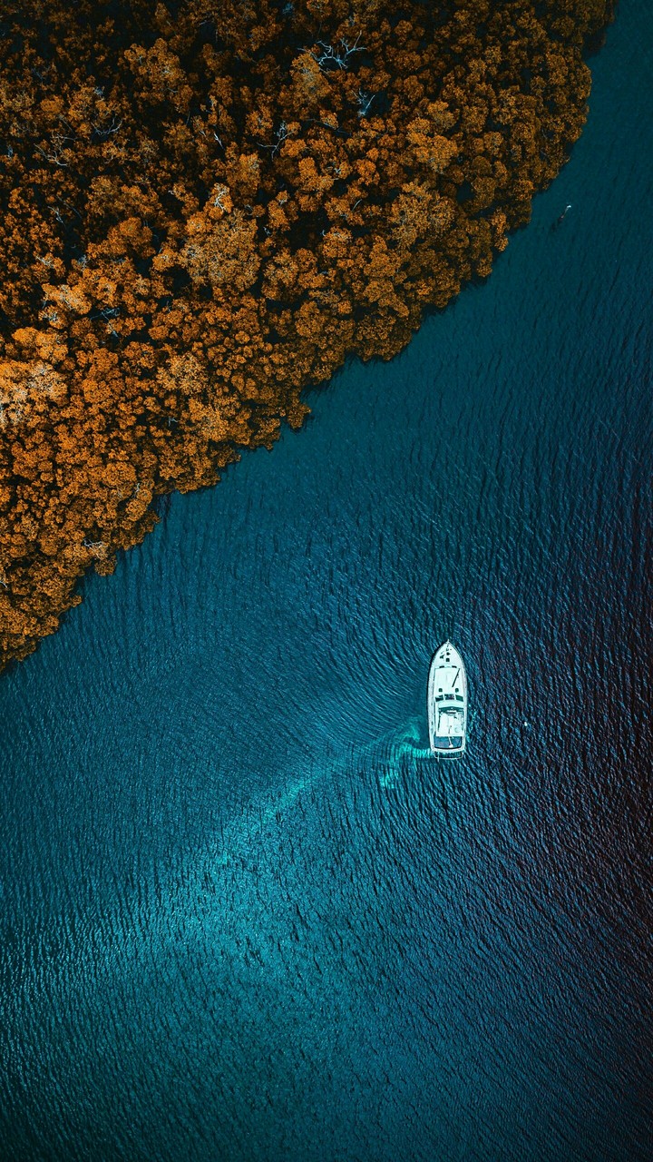 Alone At Seaside