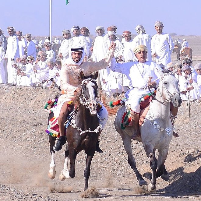 horse race UAE ajman