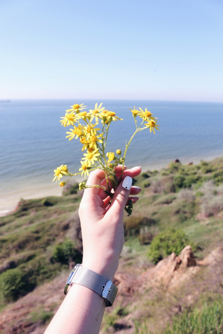 sea