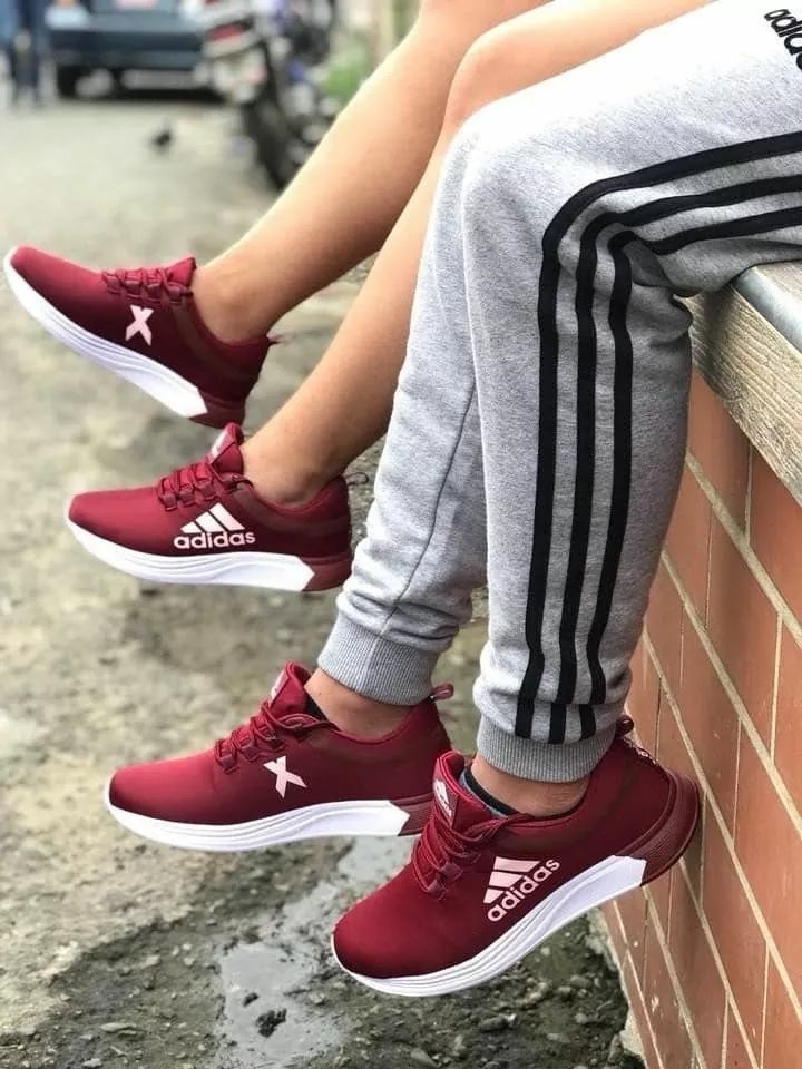 ✨