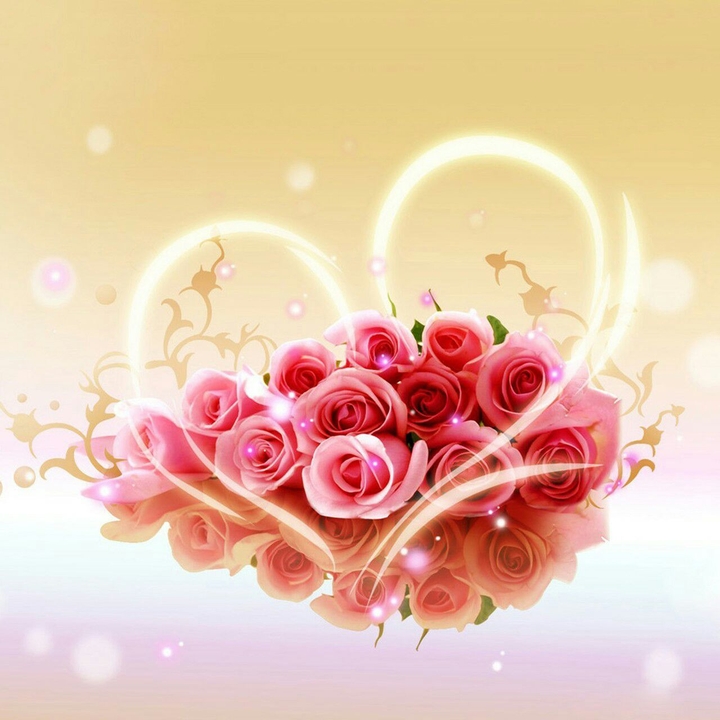 Beautiful flowers