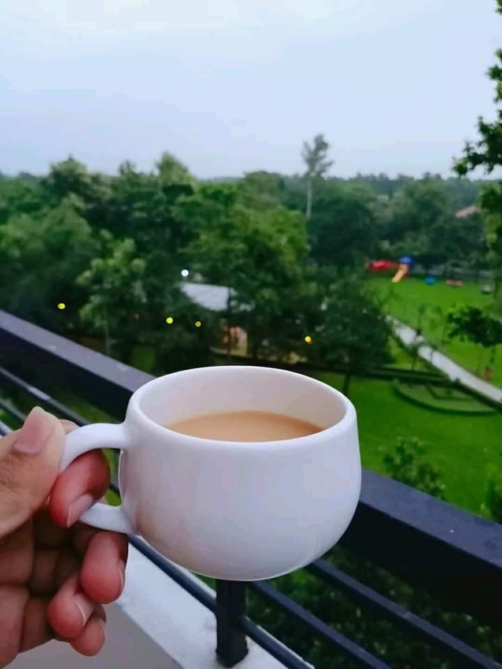 Morning