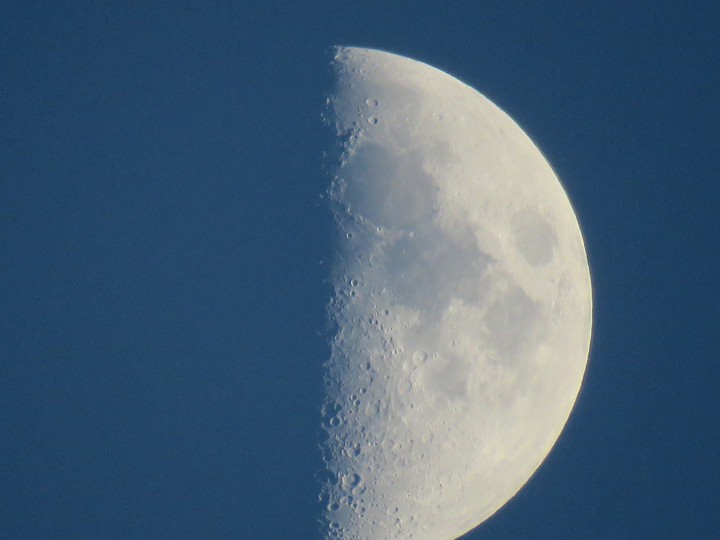 demi lune