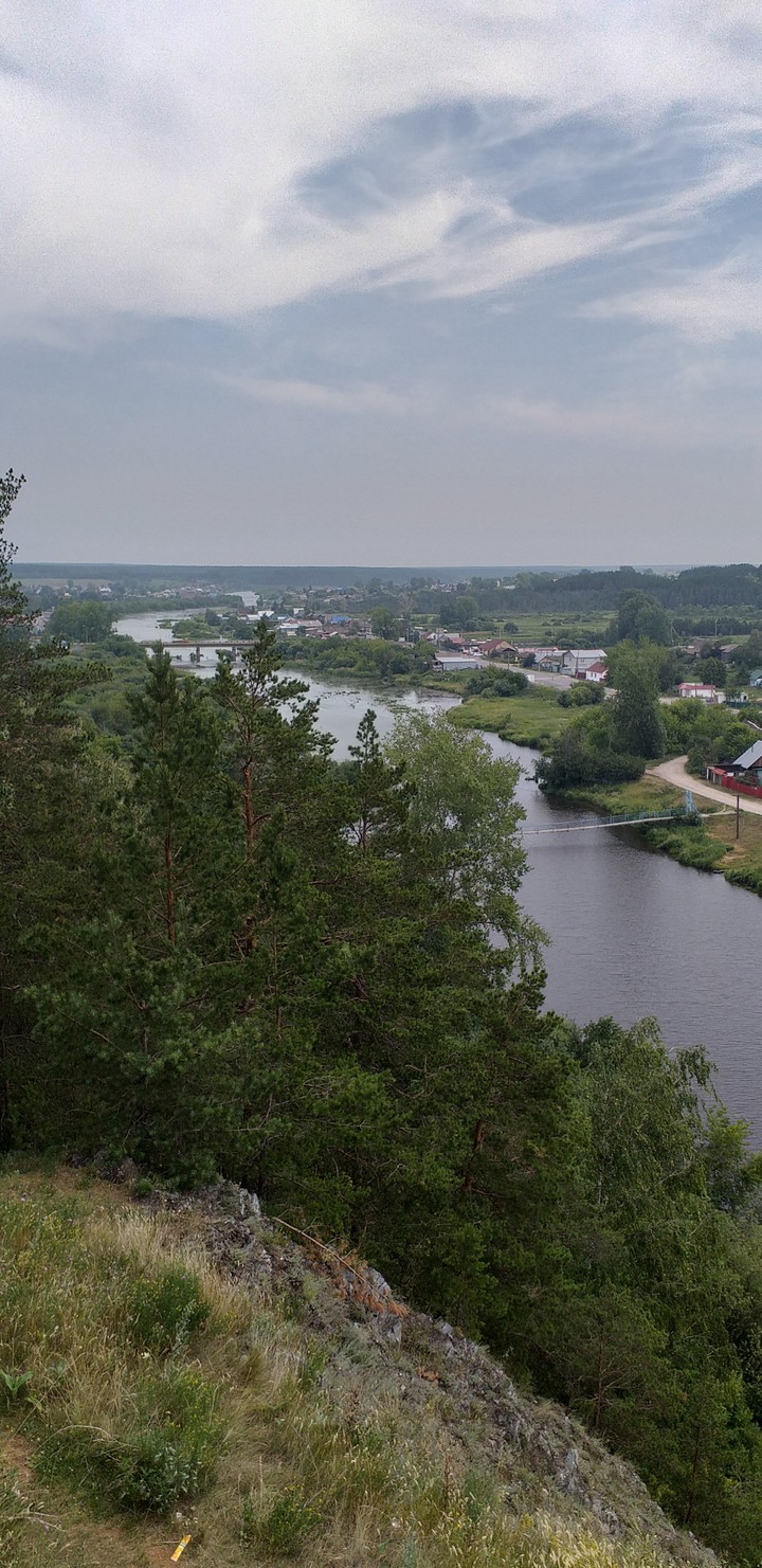 Курьи