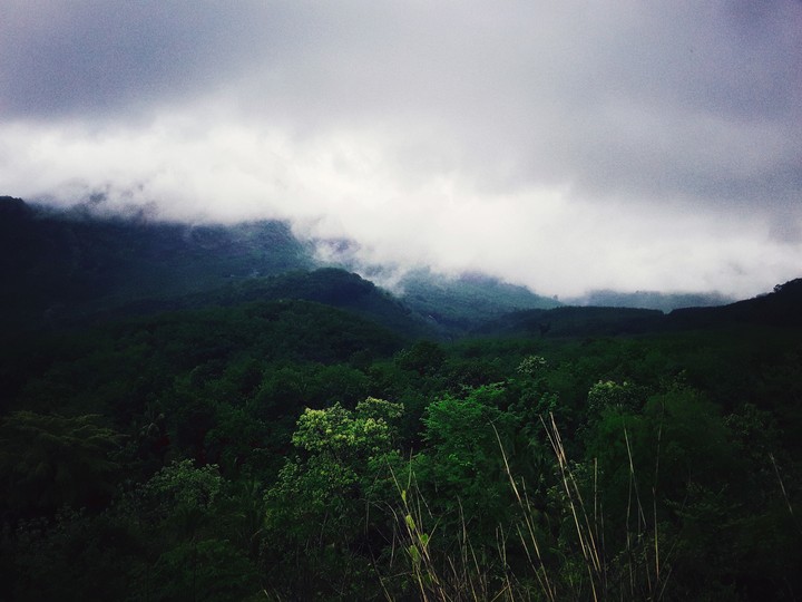 nature