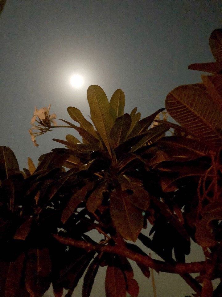 Moon