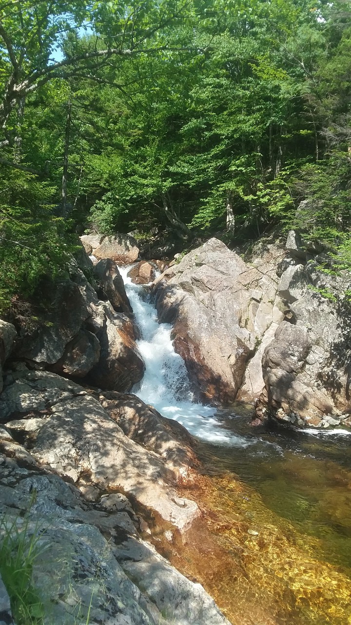 Forest Waterfall