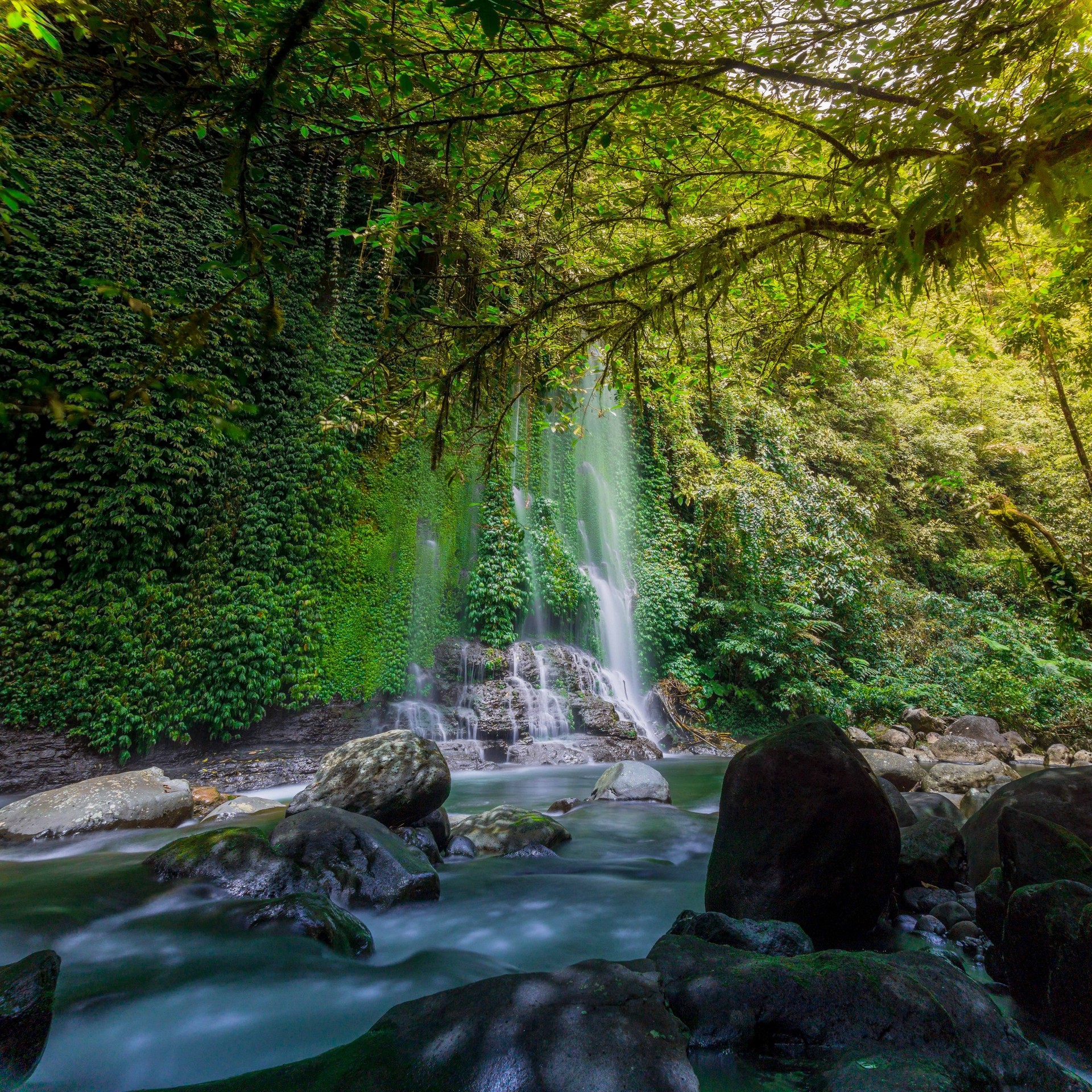 tapety Water, nature