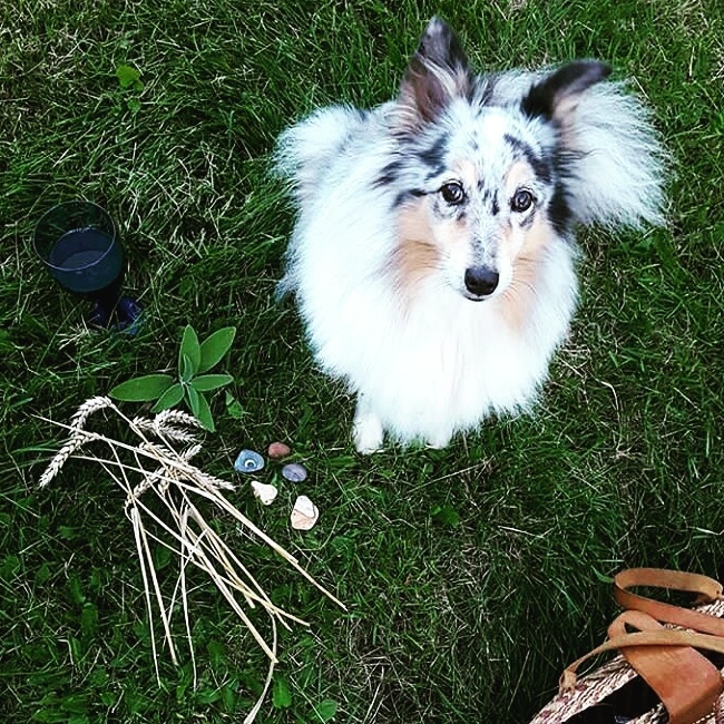 buddy