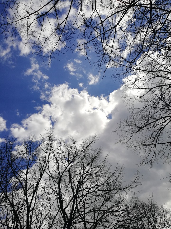 Alone in the park