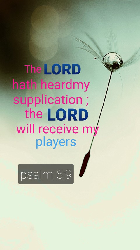 bible