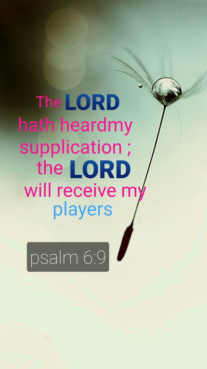 bible