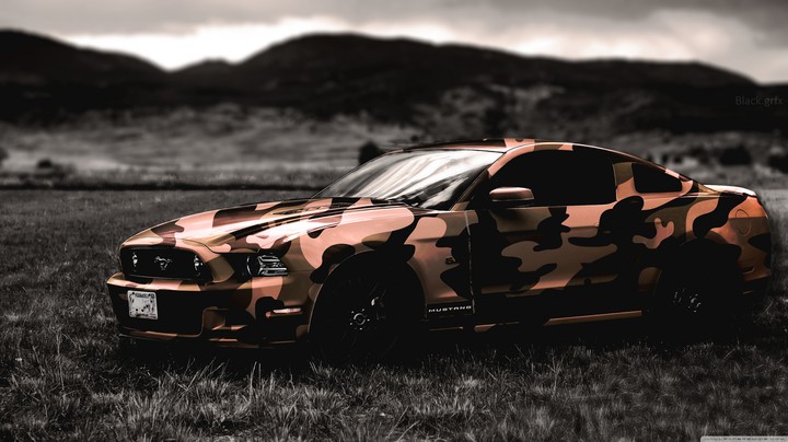 mustang