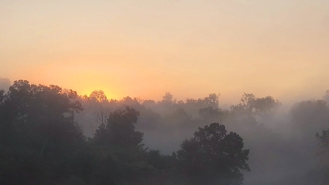 Peaceful Morning