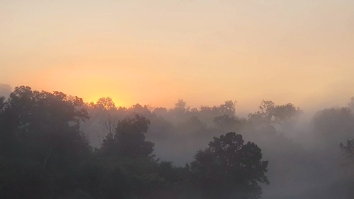 Peaceful Morning