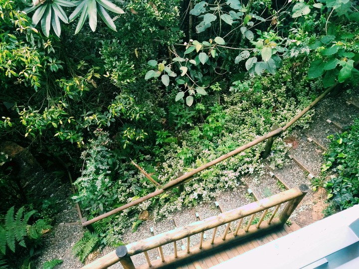 puente