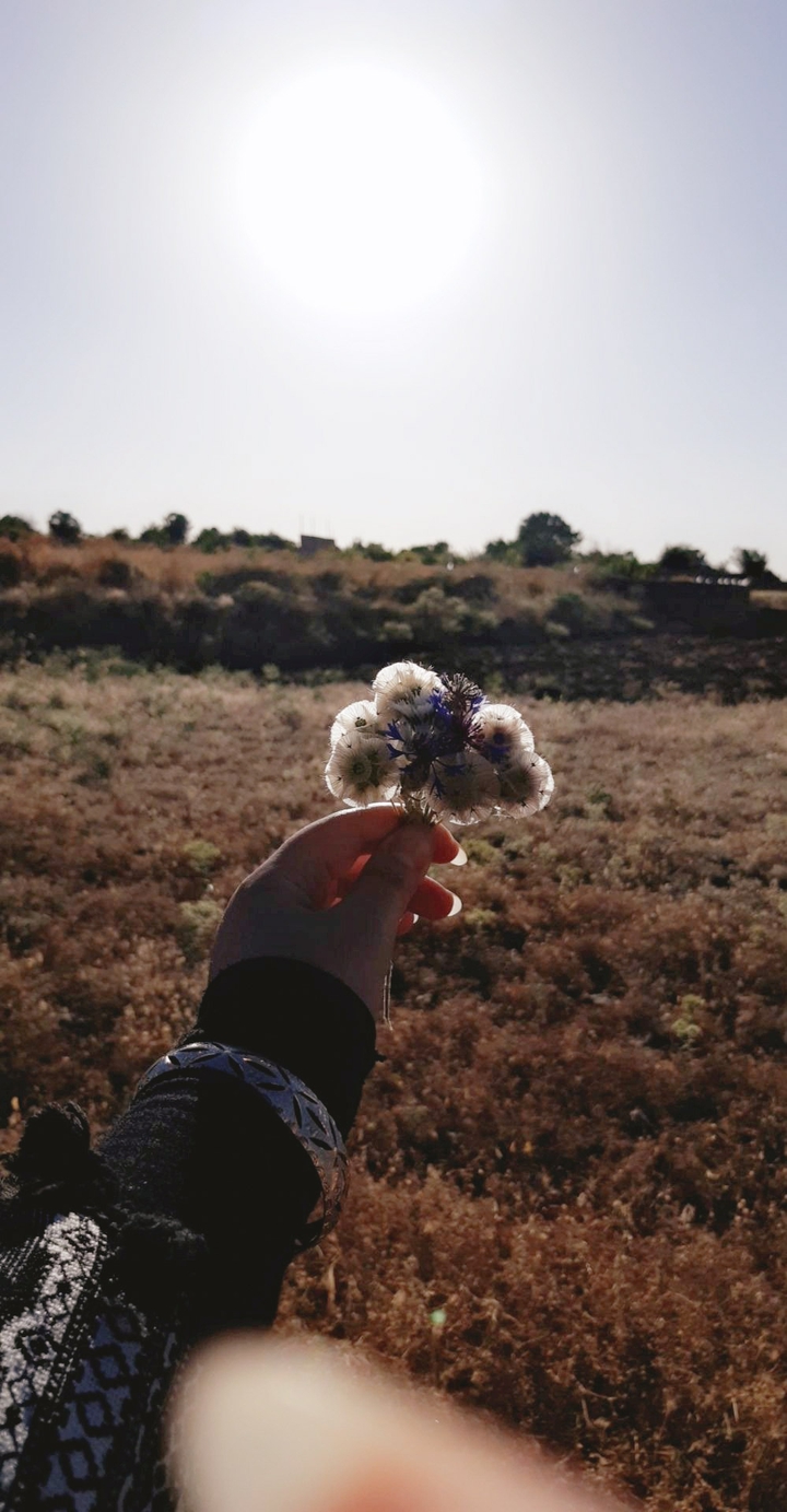 Nature