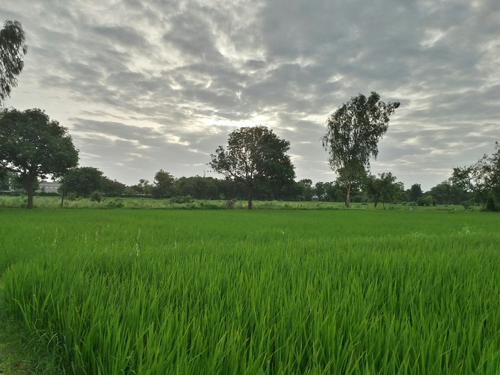 Beautiful Evening