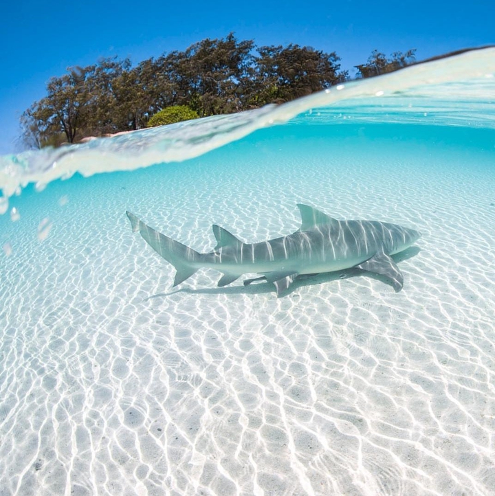 water travel