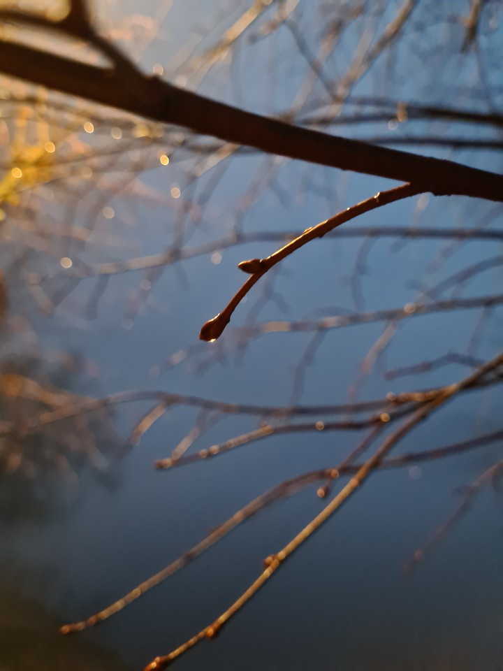 drop