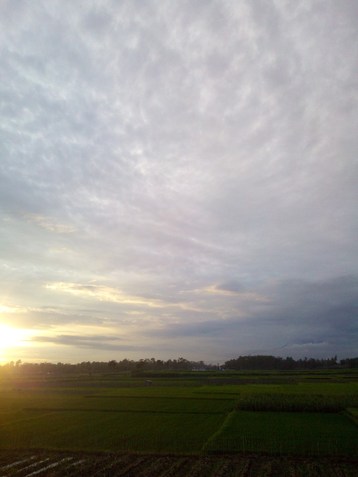 Langit sore