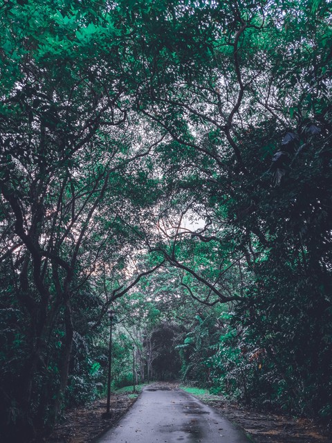 Pathway