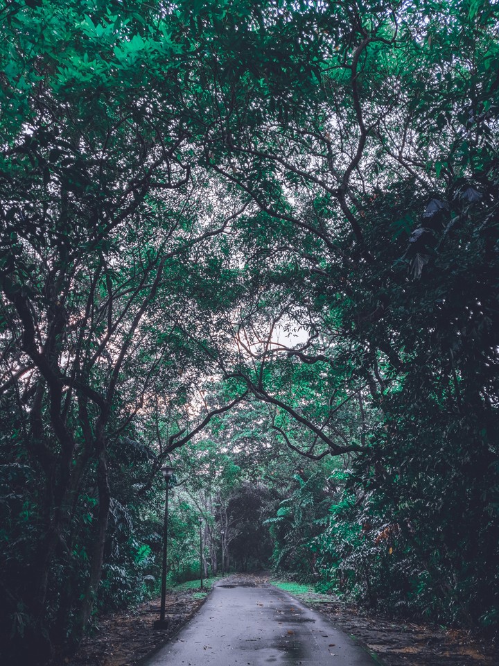 Pathway
