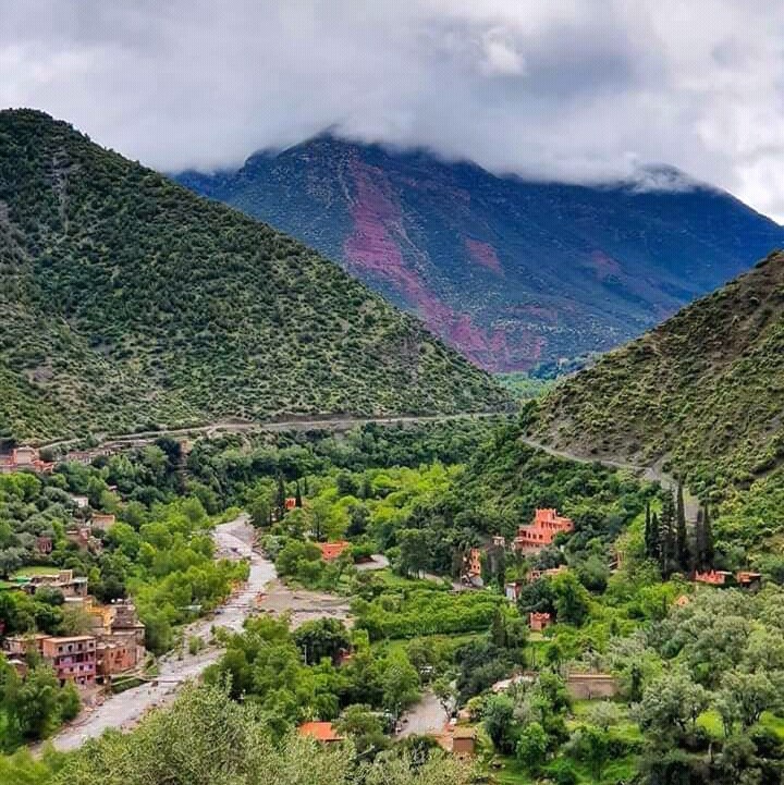 nature⭐⭐⭐
