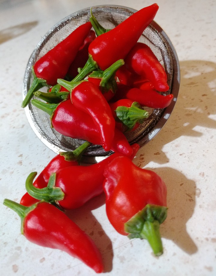 pepper