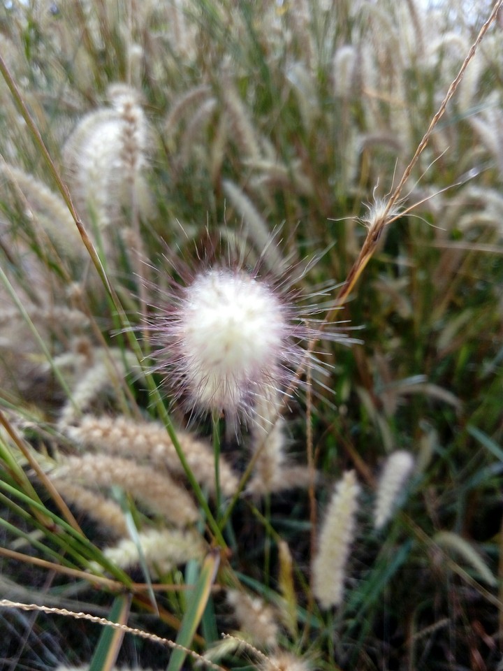 CLOSE UP