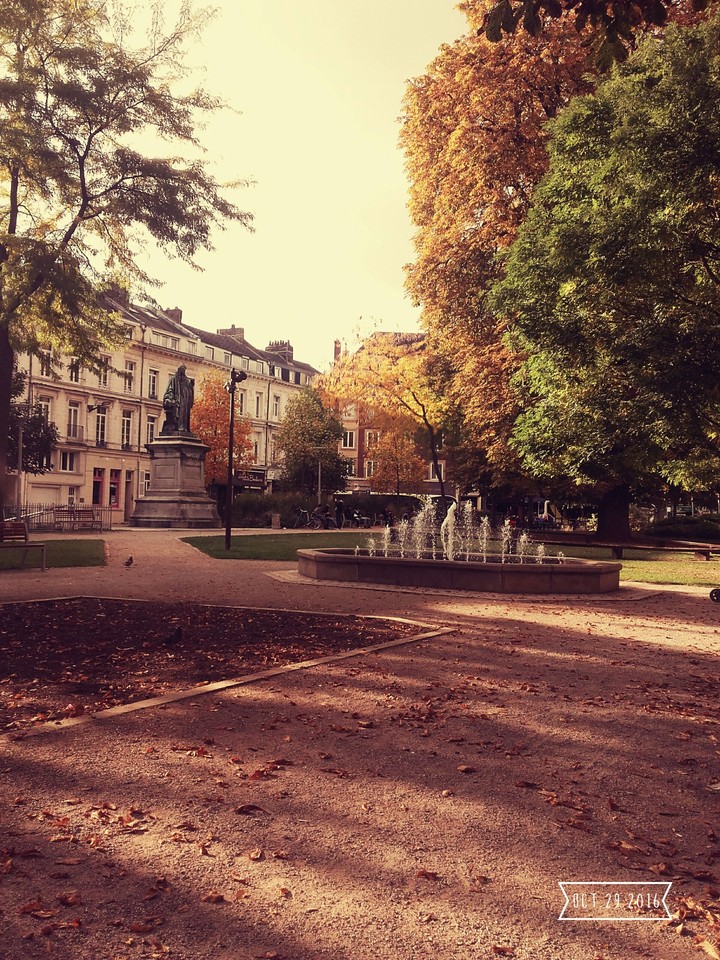 Lumières d'Automne