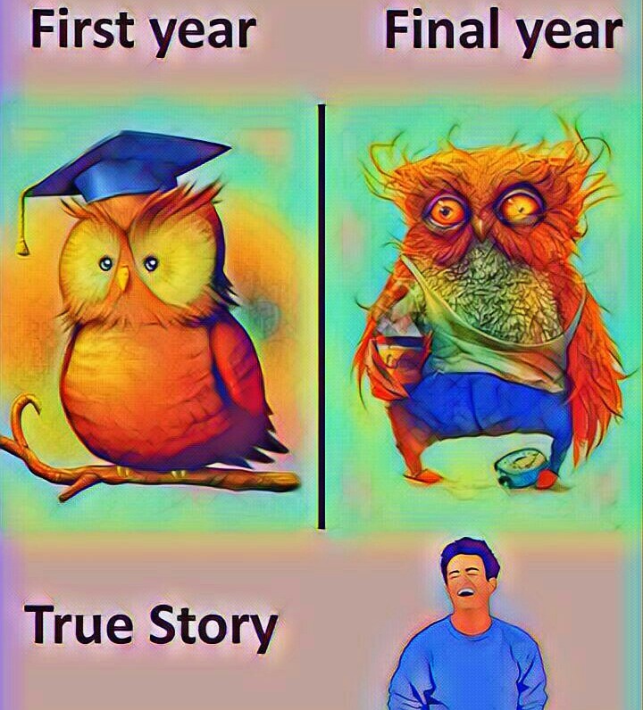 funny pic