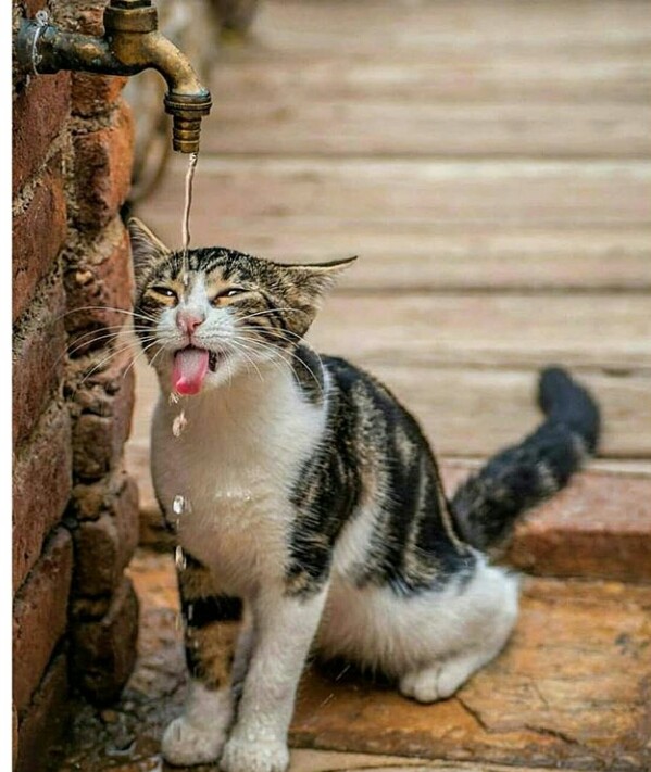 ..
