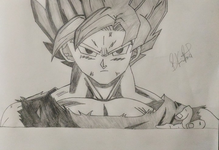 Dragon Ball Z