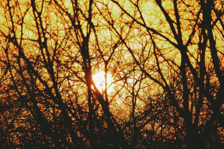 A fine sunset