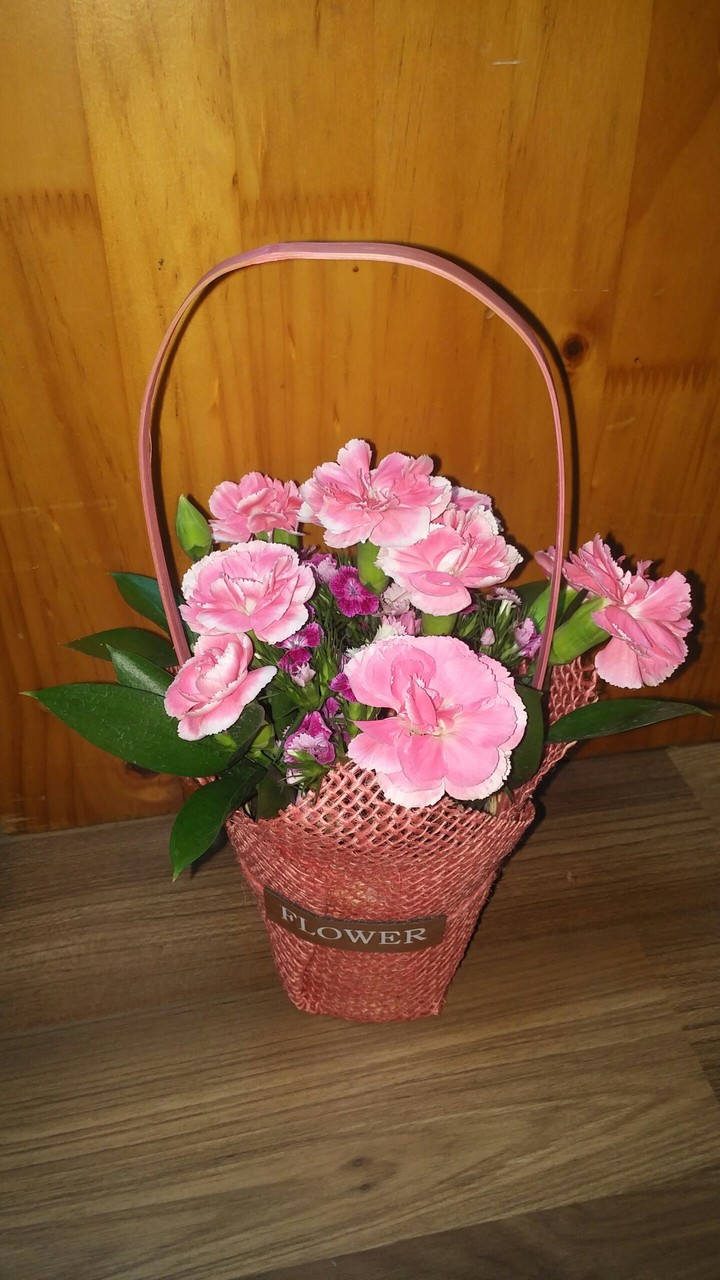 Basket of Carnations