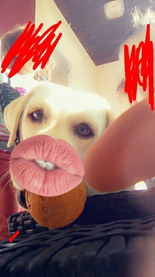 bb