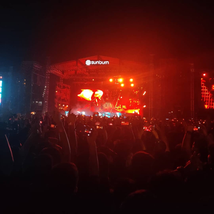 Alan Walker's concert