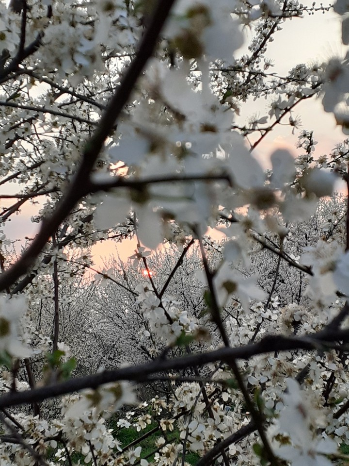 spring in Romania