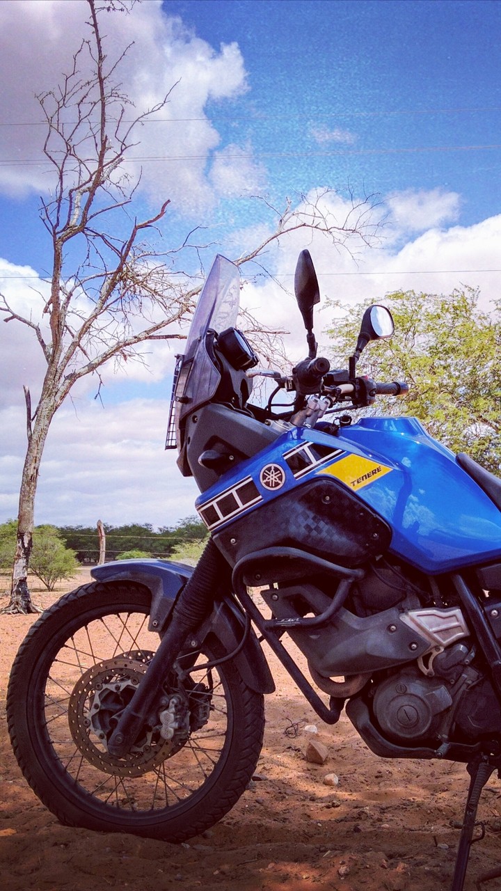 Ténéré 660